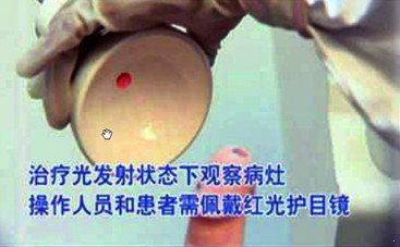 ����ʪ�������