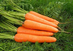 ǰ�����׵ķ�ֹ�취��ʲô��