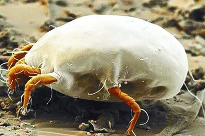 冬季荨麻疹如何预防