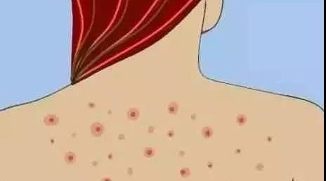 ë���׺��ഺ����ʲô����