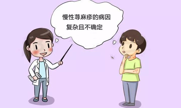 ����ݡ�����������