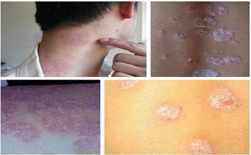 ţƤѢ��������Щ