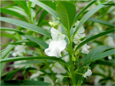 ָ�ײݿ����λ�ָ����