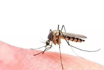 ������ݡ������ô��