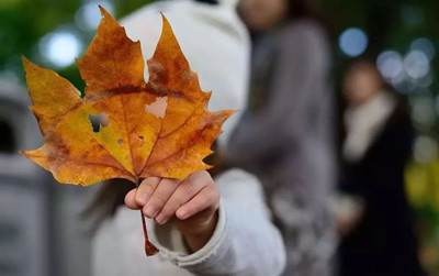 ��������ʲô�������ȽϺ�