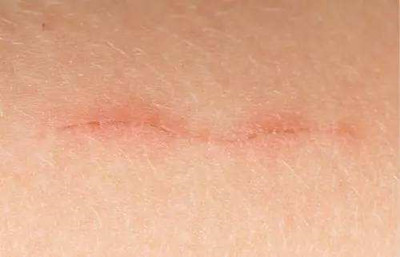 ��ɫ�̺���ô�����ɫ