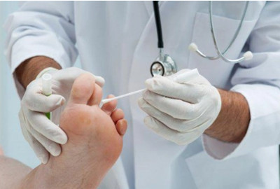 Ƥ�����������ʲô��ɵ�